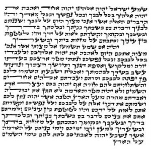 Pergamino de Mezuzá Básico con Texto de Shema en Hebreo Mediano (10cm) Judaíca
