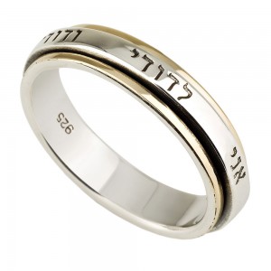 9K Gold & Sterling Silver Spinning Unisex Ring with Ani LeDodi Israeli Jewelry Designers