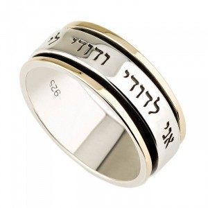 Unisex 9K Gold and Sterling Silver Ani LeDodi Spinning Ring Israeli Jewelry Designers